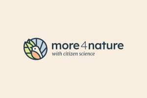 Logo of more4nature with the tagline "more4nature for citizen science".