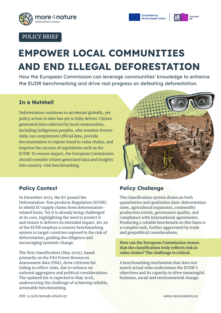 Cover of the Policy Brief on deforestation