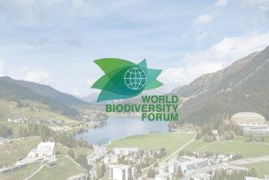 World Biodiversity Forum logo over a mountain as a background.